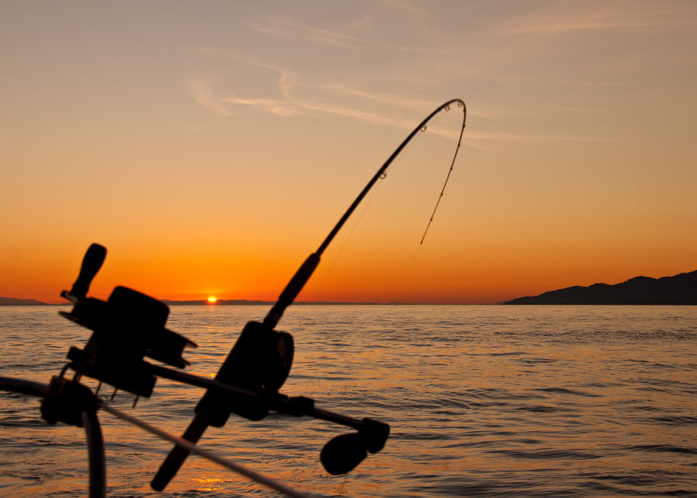 5 Best GoPro Boat Mounts for Fishing Filming – HSUSHOP