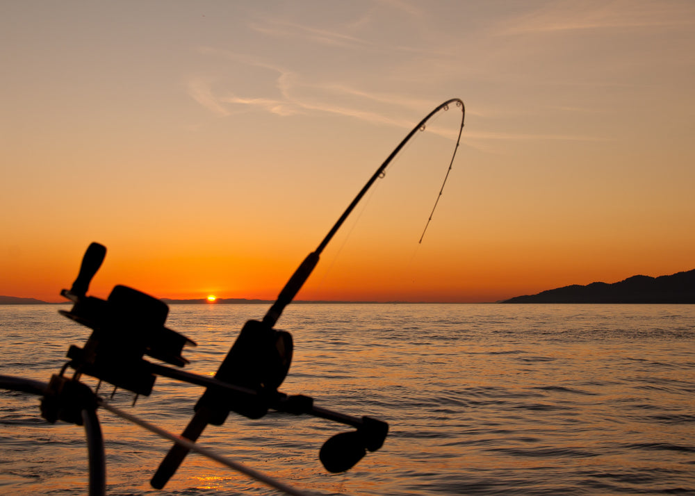 best trout fly rod and reel Fly Rod Best Trout Fishing Pole And Reel Choosing The Best Fly Fishing Rod,  Reel, And